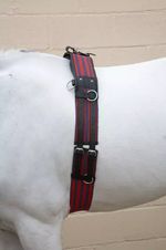 Hy Equestrian Training Roller Size Full Blue/Red Brand New