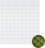 Painless 100Pcs Ear Acupuncture Seeds - Gold Self-Care Beads for Weight Loss
