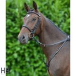 Hunting Breastplate with Running Martingale Attachment by Hy – Cob, Full, XFull