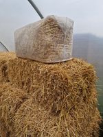 #Pet Animal Barley Straw Bedding for Rabbits, Guinea Pigs, etc. 5kg large#
