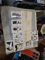 Wwii Adult Clippings And Photos