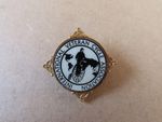 International Veteran Cycle Association Pin Badge, Vintage Bicycle Memorabilia
