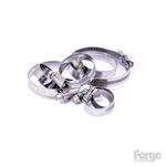 Focus ST225 Stainless Steel Coolant Hose Clip Kit x 11 Clips