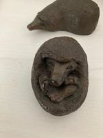 Two small beautiful ornamental hedgehogs