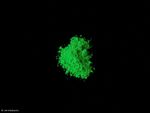 Daylight pigment green 100 g (€13/100 g) luminous powder color pigment dry color UV
