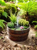 LARGE WATERTIGHT OAK HALF WHISKY BARREL - FOR WILDLIFE MINI POND  - 72CM X 45CM