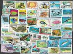 Fish on stamps 50 all different Collection       B    4.11.25