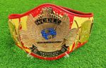 Hulk Hogan Hulkamania Signature Series Championship Replica Title Belt 4MM ZINC