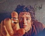 Elijah Wood Lord Of The Rings Signed Autograph Photograph COA 