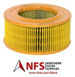 Air Filter (Element) - PA3419, MD460, 36607188, AZA034, 21161831, 9173