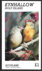 Eynhallow Scotland 1982, Birds, MNH Imperf M/S Sheet #M2587