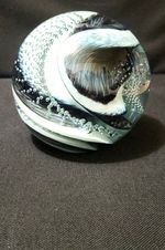 Ornamental Blown Glass Studios  Black White Glass Paperweight