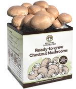 Chestnut Mushroom Growing Kit