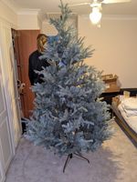 John Lews St Petersburg Chrismas Tree Blue Unlit 7ft VERY GOOD condition