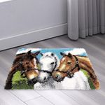 DIY Making Needlecrafts Cushion Carpet Latch Hook Rug Kit Beginners