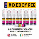 Touch Up Car Paint For MINI Mixed From Car Registration Reg Touch Up Pen