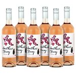 Another Story White Zinfandel Rosé | 6x75cl American Rosé Wine Next Day Delivery