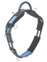  Busse lunging belt with handle for lunging without saddle MSh, Sh, P, VB/WB