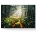 STUNNING WOODLAND FOREST SUN-RAYS CANVAS PICTURE PRINT WALL ART