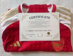 Arsenal Ødegaard #8 Signed Home Football Shirt, Certificate Of Authentication