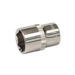 Drive Socket 19mm 6Pt Metric Chrome Vanadium Steel Hex Socket 1/2"