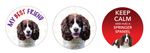 2 x SPRINGER SPANIEL Dog vinyl car, van decal sticker Pet Lover Ideal Present