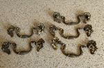 Set of 5 antique brass cabinet handles.