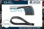 DAYCO 6PK1240 V-Ribbed Belts Fits Audi A3 TT Mitsubishi Renault Toyota Auris VW