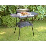 Electric BBQ Grill Standing Model With New Design And High Quality