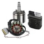 Flywheel Rotor+Stator+ Regulator+Gasket For Yamaha R1 04-08 FZ8N FZ8S FZ1 06-15`
