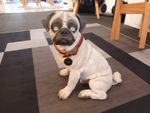 Pug Puppy Country Artists  Top Dogs REGGIE THE PUG Figures LOOKS BLIND engraved