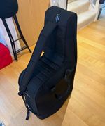 Bose L1 PRO8 PA Carry Bag with Shoulder strap and handles.