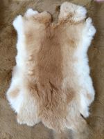 1x Real Rabbit Skin Fur Pelt for Animal Training Craft Fly Tying LARP Home Decor