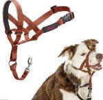 HALTI Headcollar Size 2 Burnt Orange | Stop Pulling | Reflective & Padded
