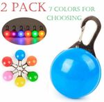 2x LED Dog Collar Safety Warning Lamp Night Clip Light Flashing Pet Pendant Tag