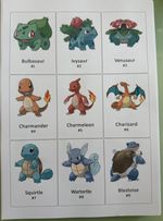 Pokemon Pokedex Placeholders Gen 1-9 - Choose Your Generation, Printed Sheets