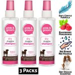 3X Dry Dog Shampoo 200ml Pride & Groom Raspberry Scented