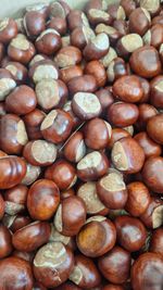 60 x freshly picked conkers horse chestnut. Ideal for crafts, games