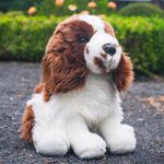 ✤ New DOUGLAS CUDDLE TOYS Stuffed Plush ENGLISH SPRINGER SPANIEL Dog Plushie