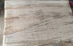 Large Spalted Elm Bowl Blank Wood Turning Turning Blanks Turning Blanks