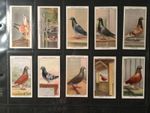RACING PIGEONS 1931 ORIGINAL FULL SET OF OGDENS CIGARETTE CARDS EXC CDN