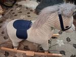Rocking Horse