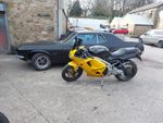 Triumph Daytona T595 ● 32452  miles ● Sportbike 1997