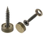 8Pcs Brass Decorative Screws with Caps, 12 mm Mirror Screw Self-Tapping Screws