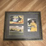 Giancarlo Fisichella Jordan F1 1997 Framed Photo Display Formula 1 Memorabilia