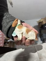 Country Artists Best In Show Spaniel 