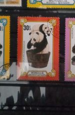 Mongolia Panda Stamps Stamps Sellos Timbres