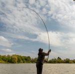OMC Black Pearl Rods (All Models)
