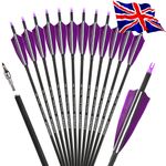 12X 30" Archery Carbon Arrows 4" Turkey Feather SP500 Recurve Bow Hunt Shooting