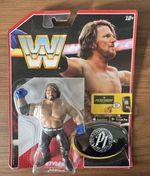 WWE AJ Styles Wrestling Figure with Accessory in Package - Figures